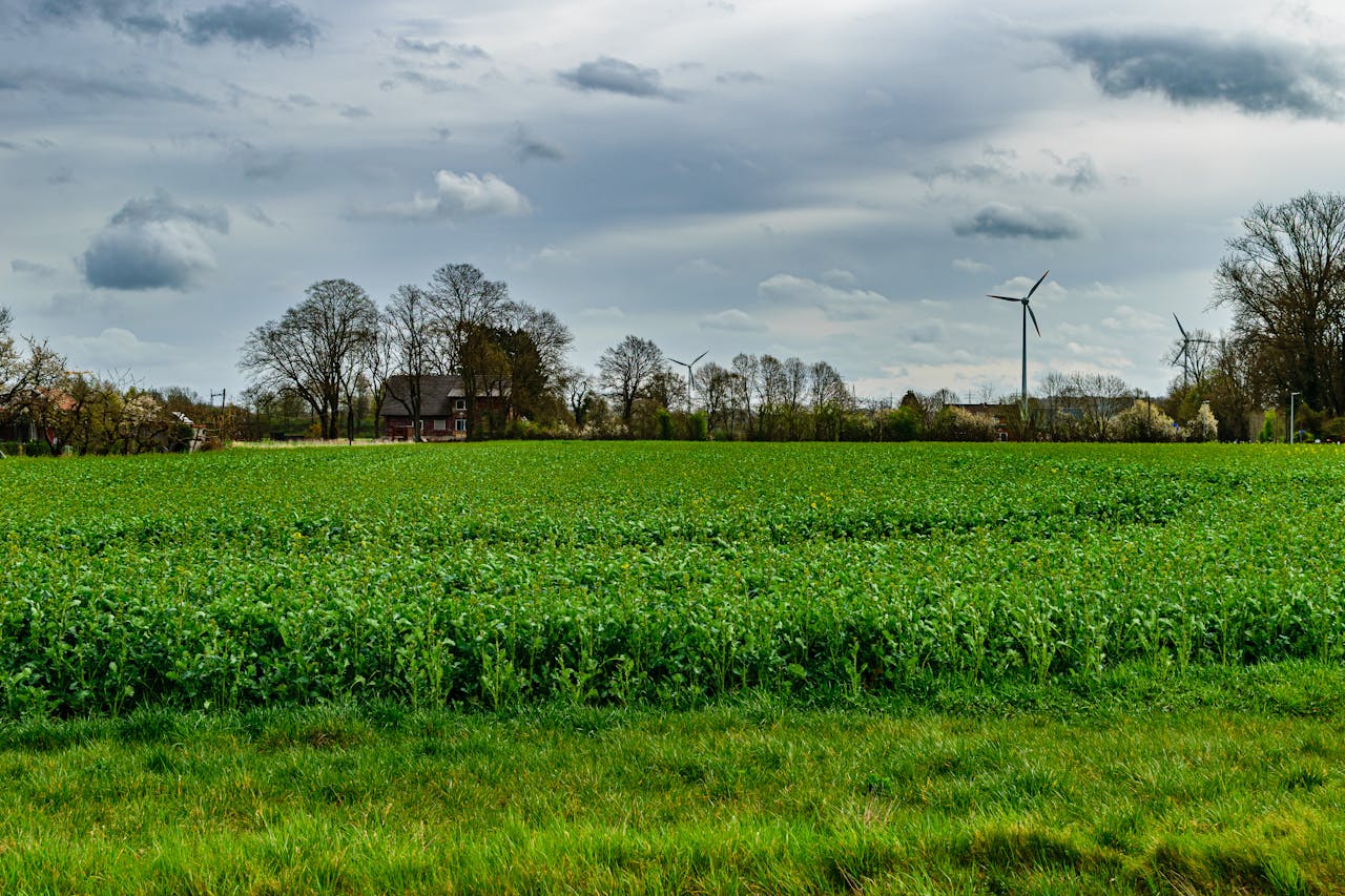 Lush green field with wind turbines and trees under a cloudy sky in Coesfeld, Germany.