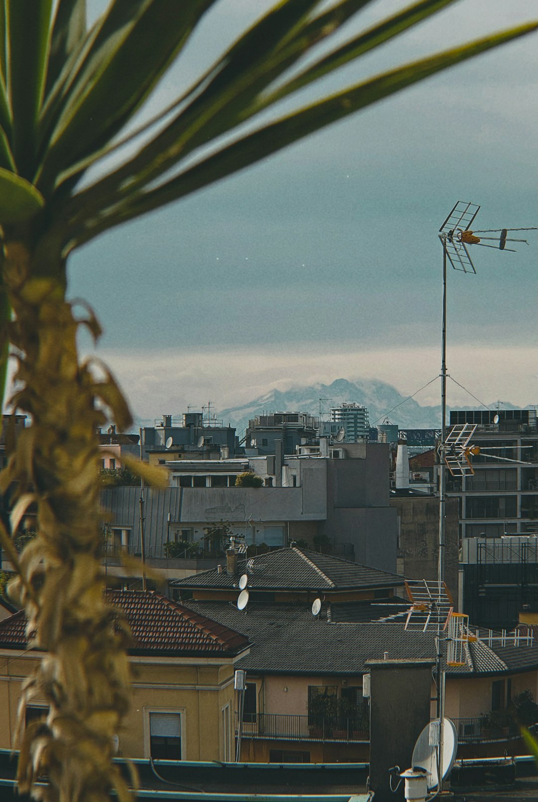 Mastering the First Impression: Your intriguing post title goes here Mountain